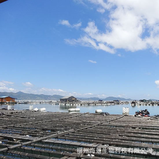 鑫海景鲍鱼配合饲料