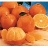 供应柑橘脱囊衣专用酶
