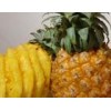 厂家供应优质菠萝蛋白酶 菠萝蛋白酶生产厂家 酶制剂