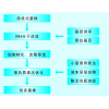 工业酶分子改造、表达优化