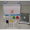 呋喃唑酮代谢物酶联免疫检测试剂盒