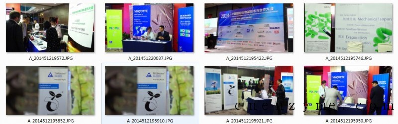 中国国际生物基技术与合作大会展位