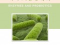 《酶与微生态制剂》创刊号，中国首本致力酶和微生态制剂的行业期刊