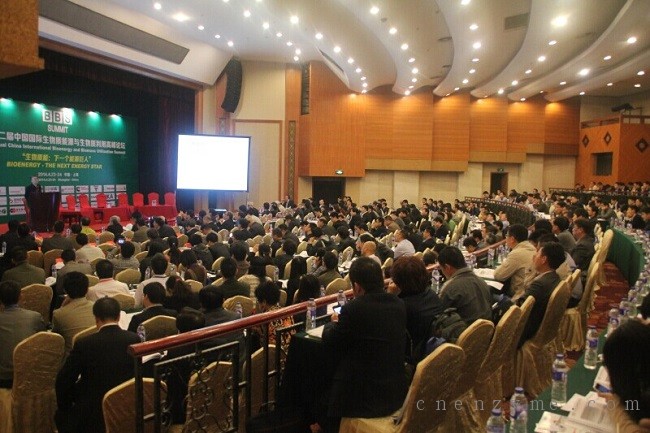 第二届中国国际生物质能源与生物质利用高峰论坛(BBS 2014)会议现场