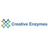 Alpha-amylase enzyme for liquefaction