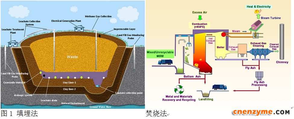 主要的垃圾处理与处置方式
