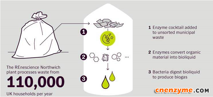 图2 酶作用下家庭未分类垃圾转化为沼气过程简图
