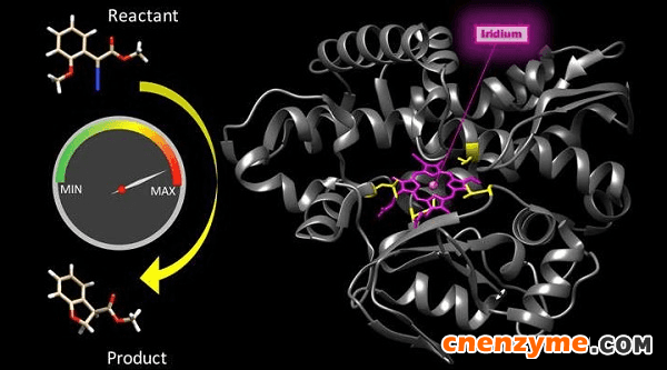 图1. 与天然酶相媲美的人工金属酶。