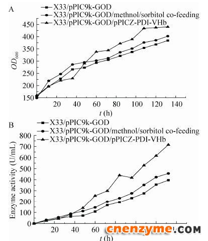 图 5 甲醇诱导发酵GOD空白对照菌株、甲醇/山梨醇混合碳源诱导发酵GOD空白对照菌株和甲醇/山梨醇混合碳源诱导发酵共表达PDI-VHb菌株在5 L发酵罐中生物量 (A) 和酶活 (B) 分析