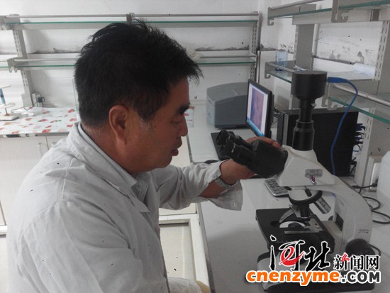  河北鼎宏生物科技有限公司董事长谢占仓在新建成的实验室中查看设备运行情况