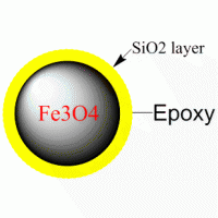 生物磁珠 PuriMag Si-Epoxy 环氧基修饰磁珠