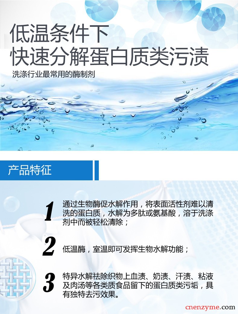 低温碱性蛋白酶_02.jpg