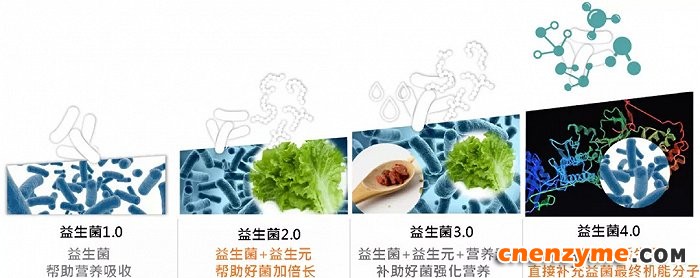 益生菌1.0到4.0时代。图片来源：锦旗生物