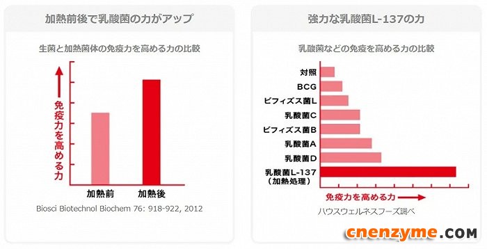 左图：加热后乳酸菌的提升免疫力效果更加显著。右图：L-137菌株与其它乳酸菌相比提升免疫力的效果更强。图片来源：好侍官网