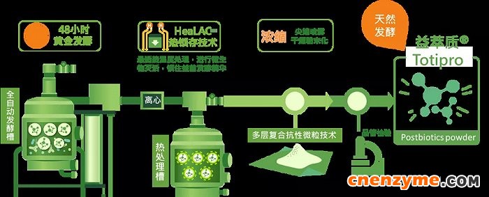 后生元的常见生产工艺。图片来源:锦旗生物
