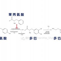 求购酪氨酸羟化酶