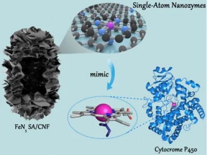 天津工生所孙周通教授 报告题目：酶分子设计与生物催化