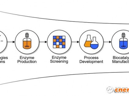 博腾股份技术平台介绍之—酶催化技术（Biocatalysis）