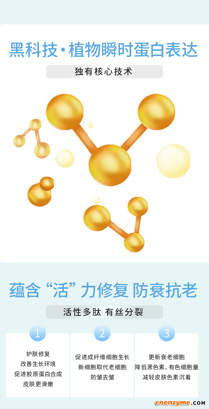 生长因子_03